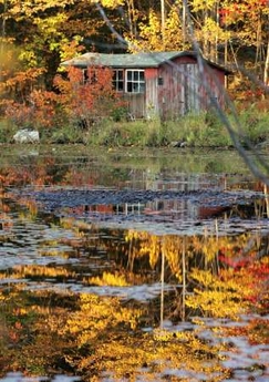 Fall scene in Massachusetts