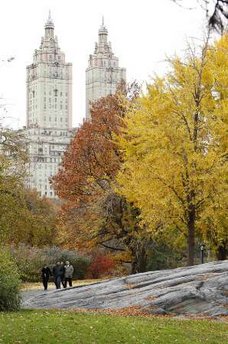 Fall foliage NYC