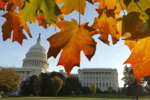Fall at the Capitol