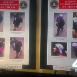 Boston Marathon bombing suspects